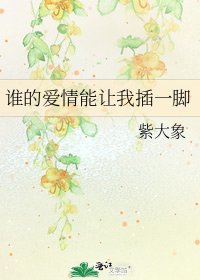 《誰的愛情能讓我插一腳》