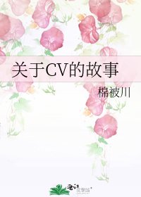 關於CV的故事