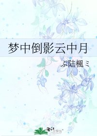 《夢中倒影雲中月》