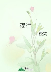 《夜行》
