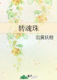 《轉魂珠》