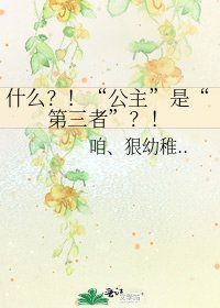 《什麼?!“公主”是“第三者”?!》