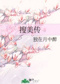 《搜美傳》