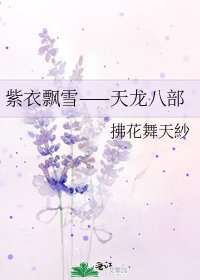 《紫衣飄雪——天龍八部》