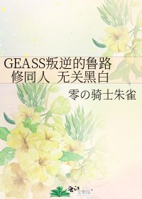 GEASS叛逆的魯路修同人 無關黑白
