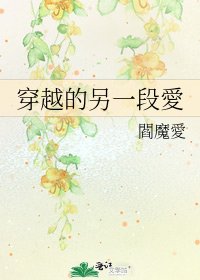 穿越的另一段愛