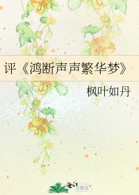 《鴻斷聲聲繁華夢》