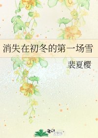 《消失在初冬的第一場雪》
