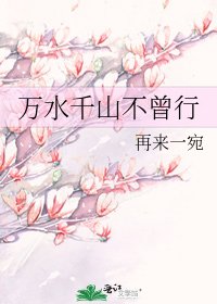 《萬水千山不曾行》