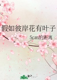 《假如彼岸花有葉子》