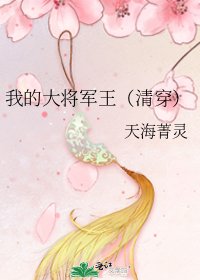 《我的大將軍王(清穿)》