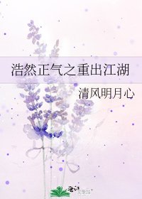 《浩然正氣之重出江湖》