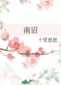 《南詔》