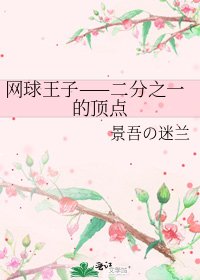 《網球王子——二分之一的頂點》