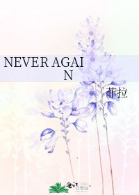 《NEVER AGAIN》