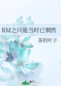 《RM之只是當時已惘然》