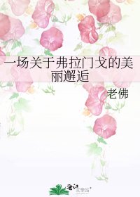 《一場關於弗拉門戈的美麗邂逅》