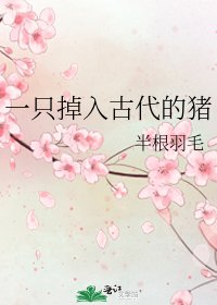 《一隻掉入古代的豬》