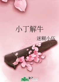 《小丁解牛》