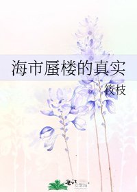 《海市蜃樓的真實》
