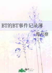 《BT的BT事件記錄薄》