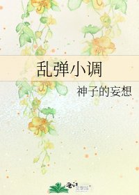 《亂彈小調》