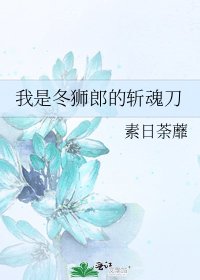 《我是冬獅郎的斬魂刀》