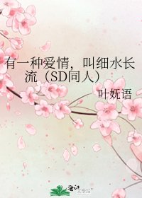 《有一種愛情,叫細水長流(SD同人)》