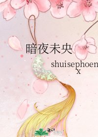 《暗夜未央》