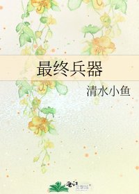 《最終兵器》