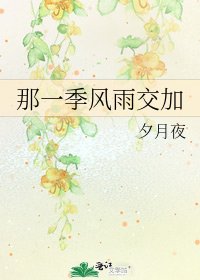 《那一季風雨交加》