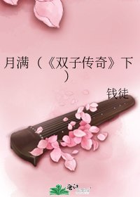《雙子傳奇》