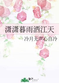 《瀟瀟暮雨灑江天》