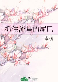 《抓住流星的尾巴》