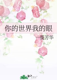 《你的世界我的眼》