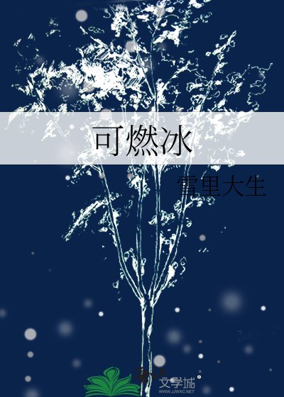 《可燃冰》