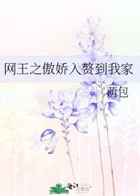 《網王之傲嬌入贅到我家》