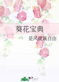 《葵花寶典》