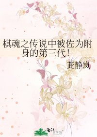 《棋魂之傳說中被佐為附身的第三代!》