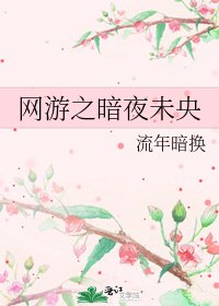 《網遊之暗夜未央》
