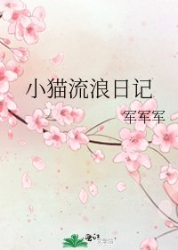 《小貓流浪日記》