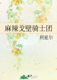 《麻辣戈壁騎士團》