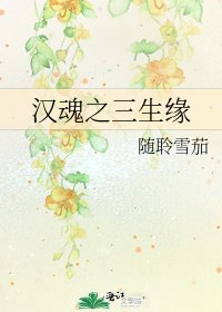 《漢魂之三生緣》