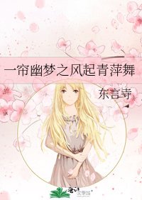 《一簾幽夢之風起青萍舞》
