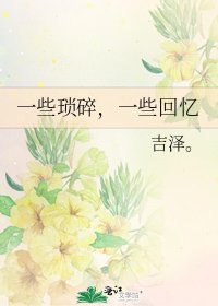 《一些瑣碎,一些回憶》