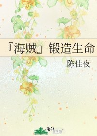 《『海賊』鍛造生命》