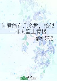 《問君能有幾多愁,恰似一群太監上青樓》