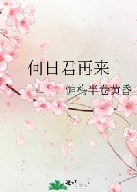 《何日君再來》