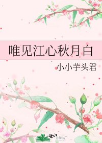 《唯見江心秋月白》