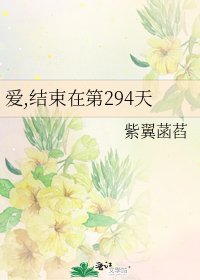 《愛,結束在第294天》